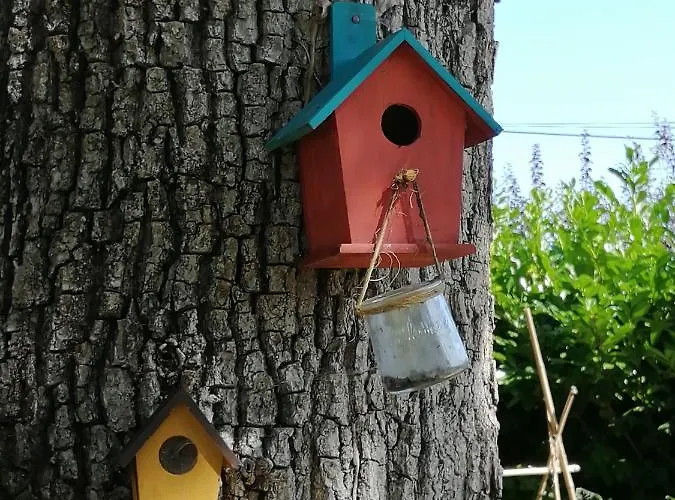 بيت للعطل La Petite Maison De La Xaran Erdian إيسبيليت