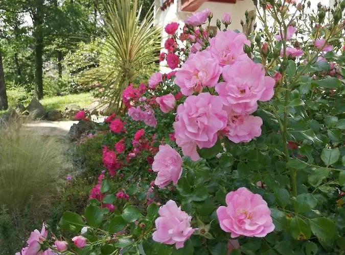 Casa vacanze La Petite Maison De La Xaran Erdian